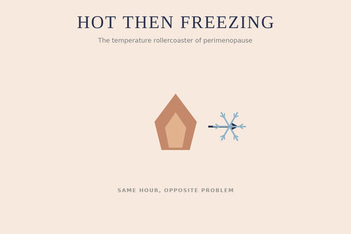Illustration of a flame turning to a snowflake — the temperature rollercoaster of perimenopause