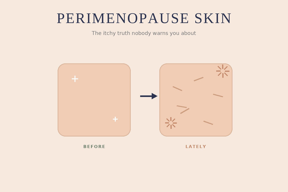 Illustration comparing smooth skin before and dry itchy skin during perimenopause