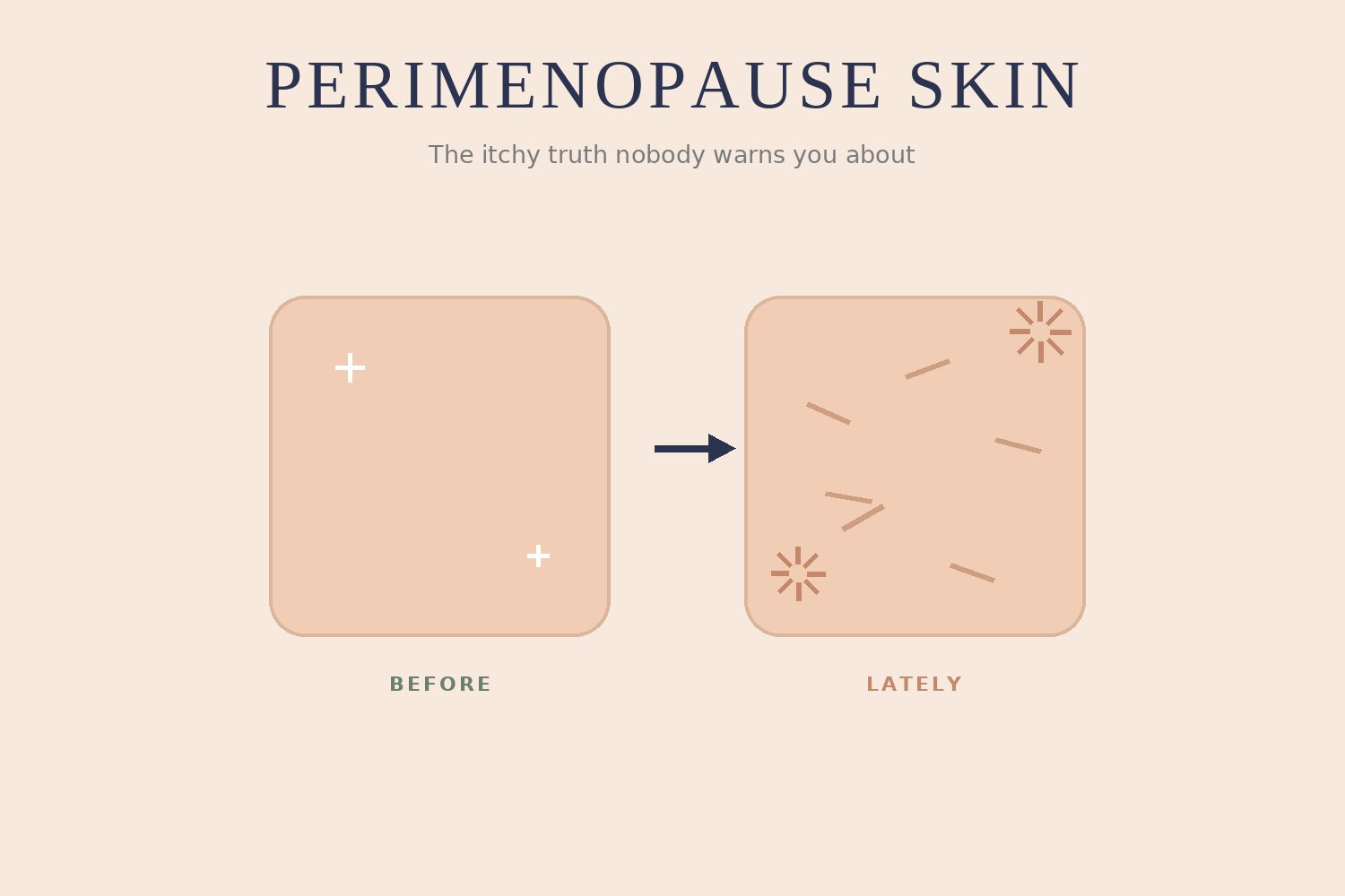 Illustration comparing smooth skin before and dry itchy skin during perimenopause