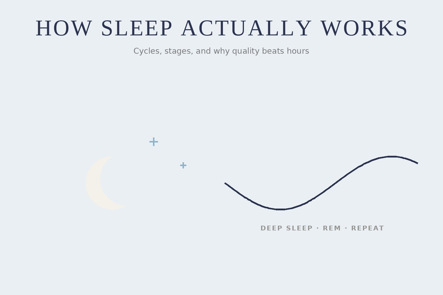 Illustration of a sleep cycle wave through the night, representing deep sleep and REM stages