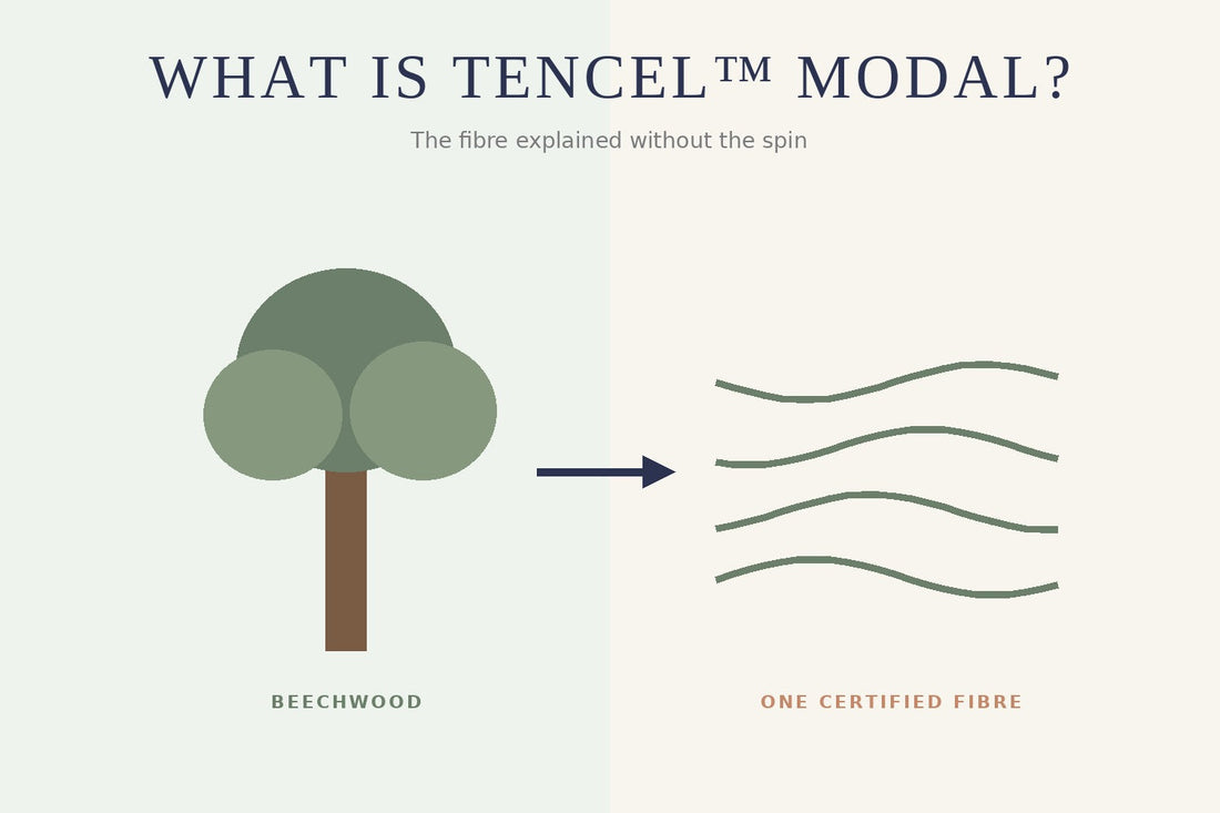 Illustration of a beech tree becoming smooth TENCEL Modal fibres